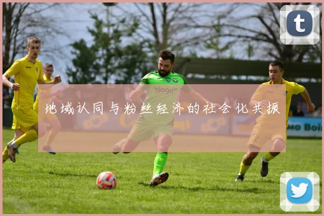 地域认同与粉丝经济的社会化共振