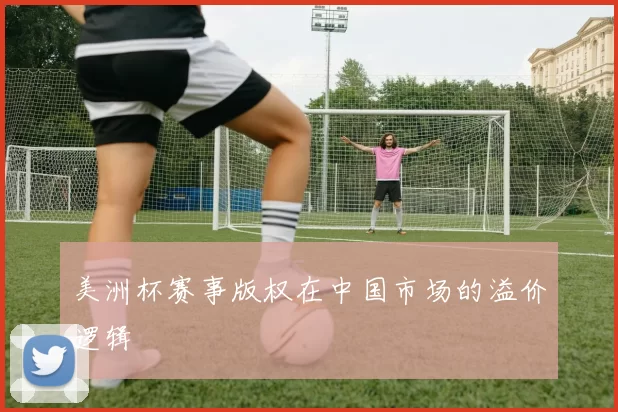 美洲杯赛事版权在中国市场的溢价逻辑